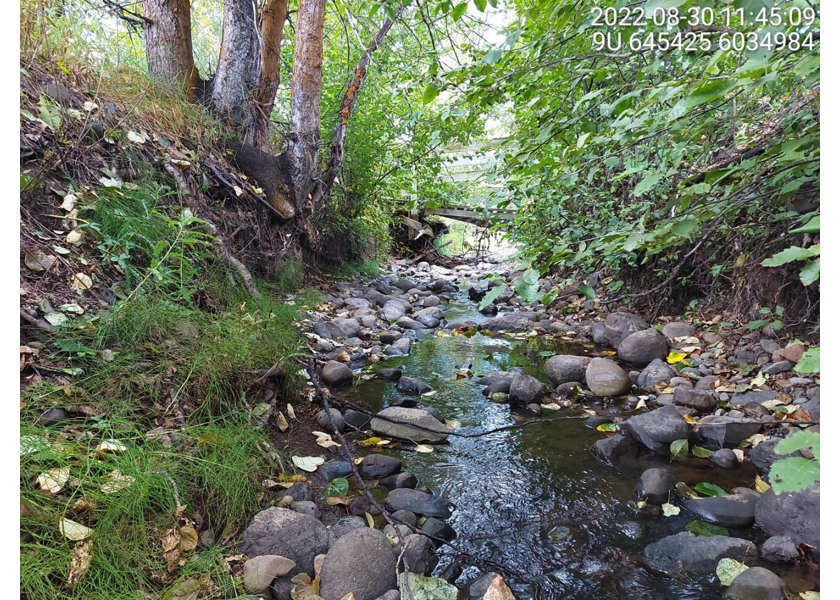 Habitat downstream of PSCIS crossing 195943.