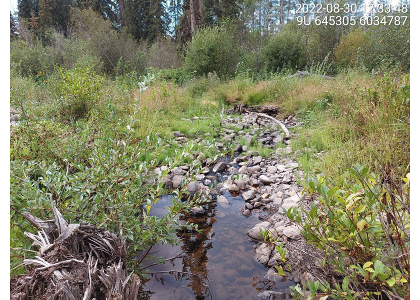 Habitat downstream of PSCIS crossing 195943.