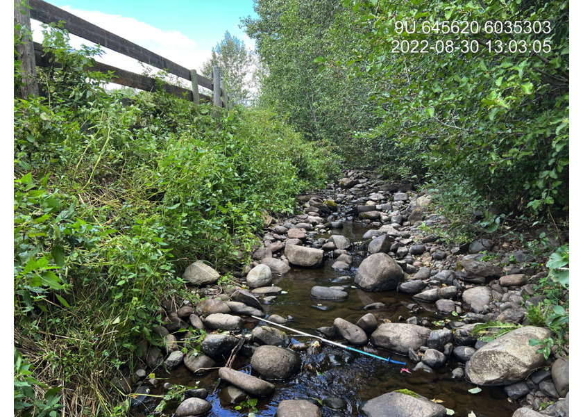 Habitat upstream of PSCIS crossing 195943.