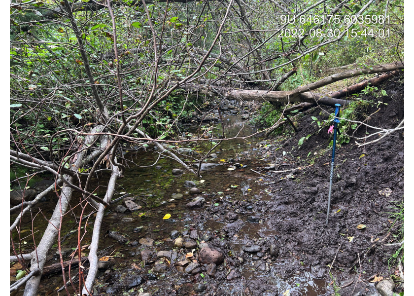 Habitat upstream of PSCIS crossing 195944.