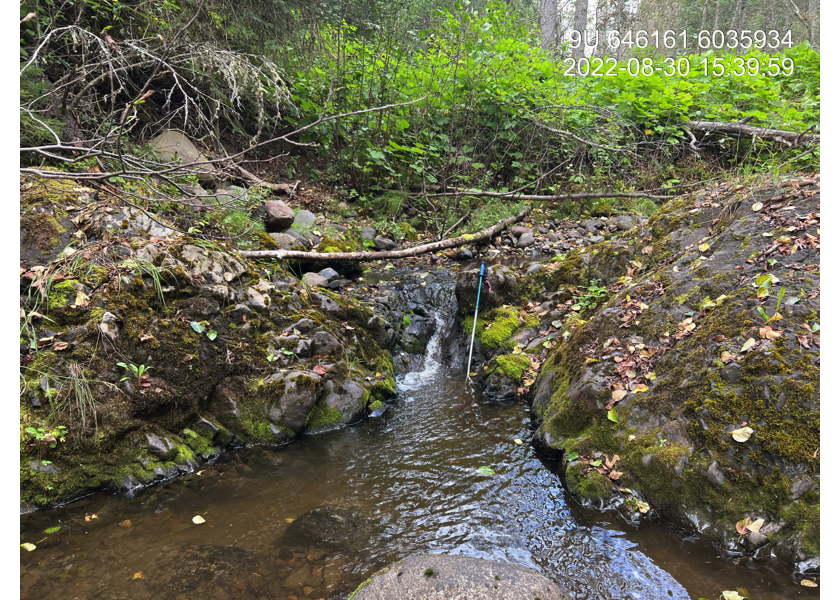 A 0.65m high rock drop located 365m upstream of PSCIS crossing 195944.