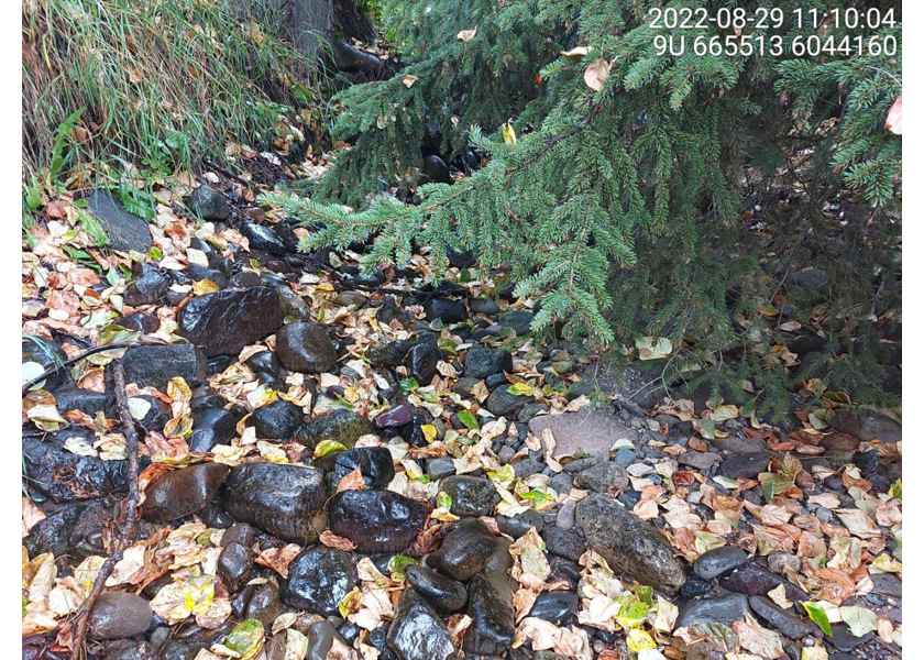 Habitat downstream of PSCIS crossing 197653.