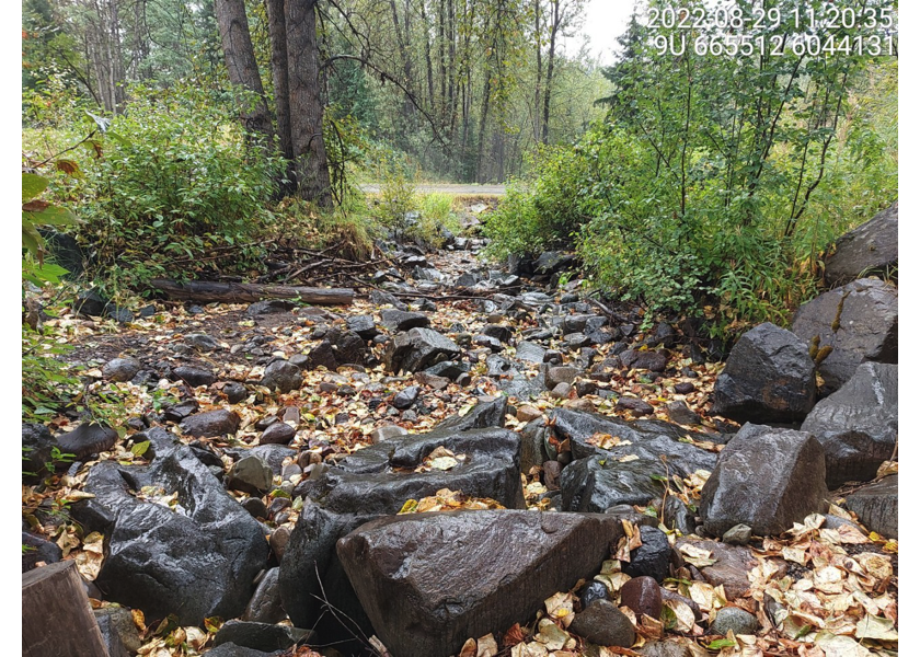 Habitat downstream of PSCIS crossing 197653.