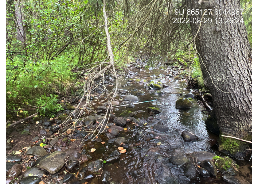 Habitat upstream of PSCIS crossing 197653.