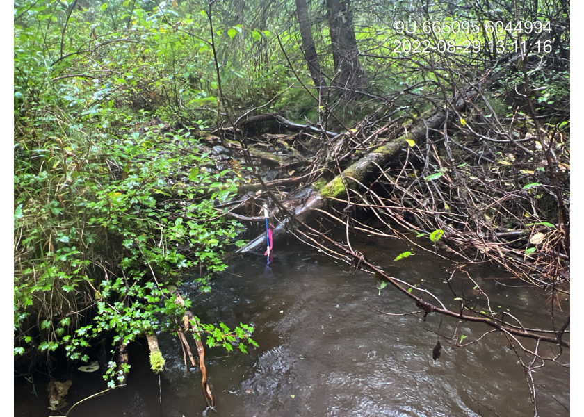 Habitat upstream of PSCIS crossing 197653.