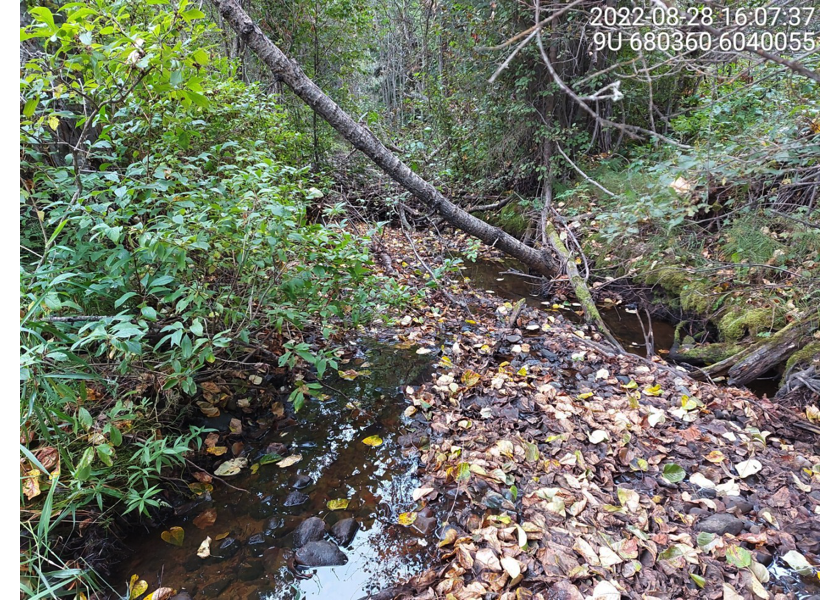 Typical habitat downstream of PSCIS crossing 197974.