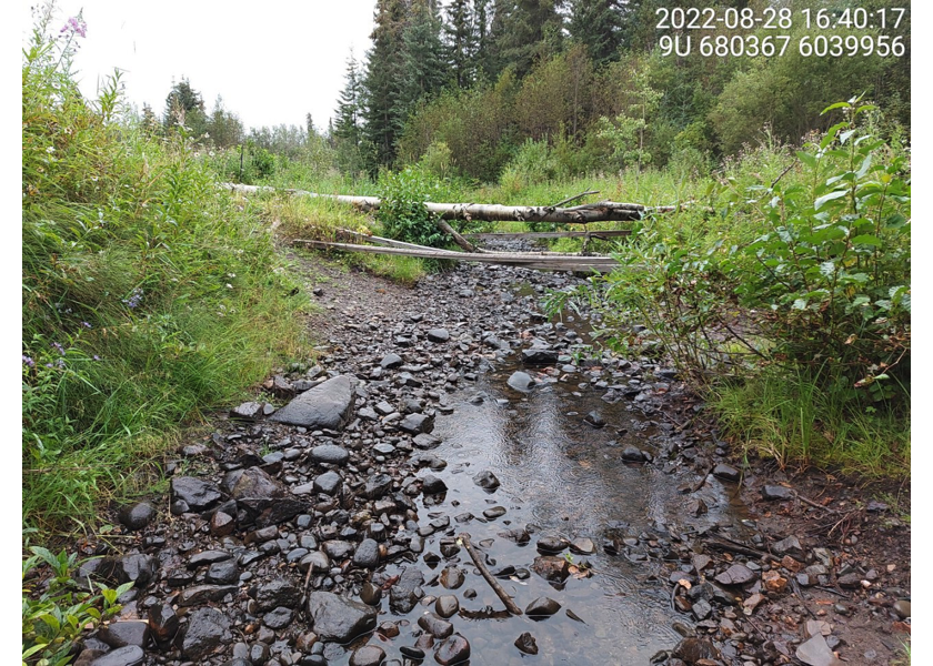 Typical habitat downstream of PSCIS crossing 197974.