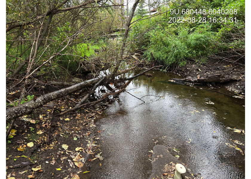 Typical habitat upstream of PSCIS crossing 197974.