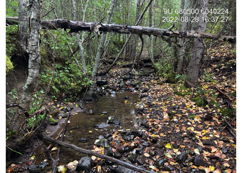 Typical habitat upstream of PSCIS crossing 197974.