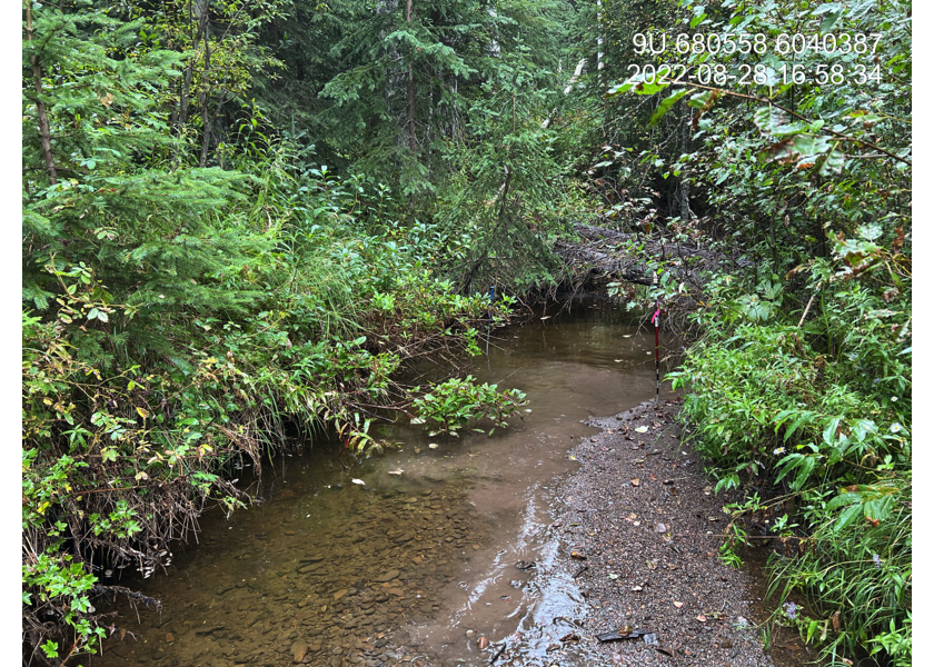 Typical habitat upstream of PSCIS crossing 197974.