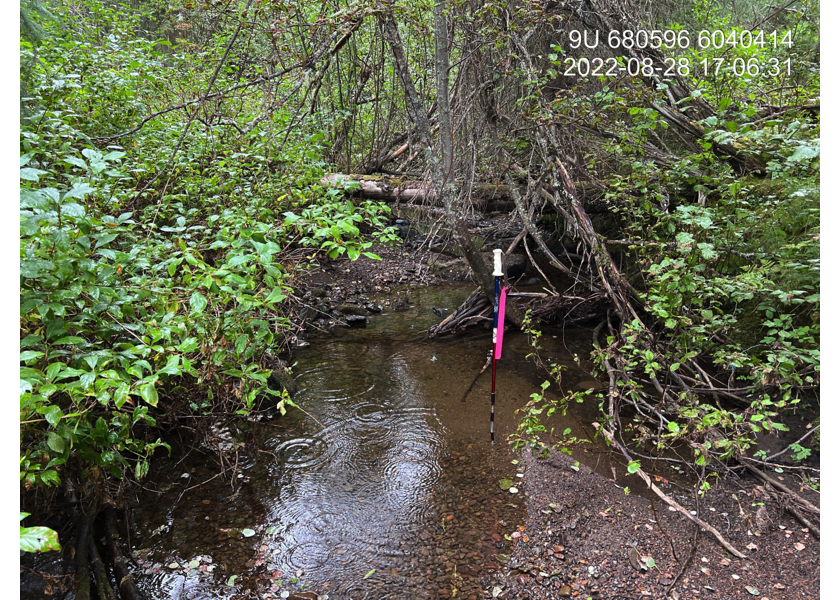 Typical habitat upstream of PSCIS crossing 197974.