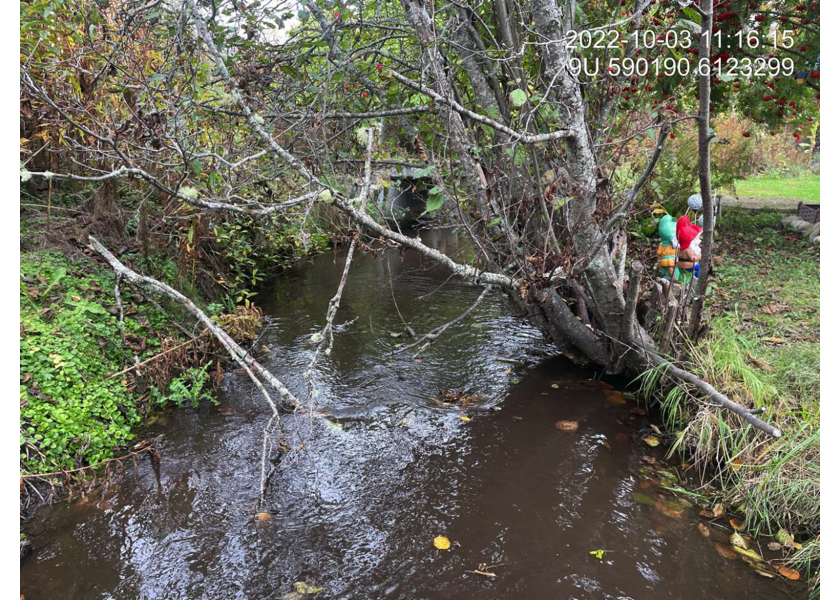 Typical habitat downstream of PSCIS crossing 198116.