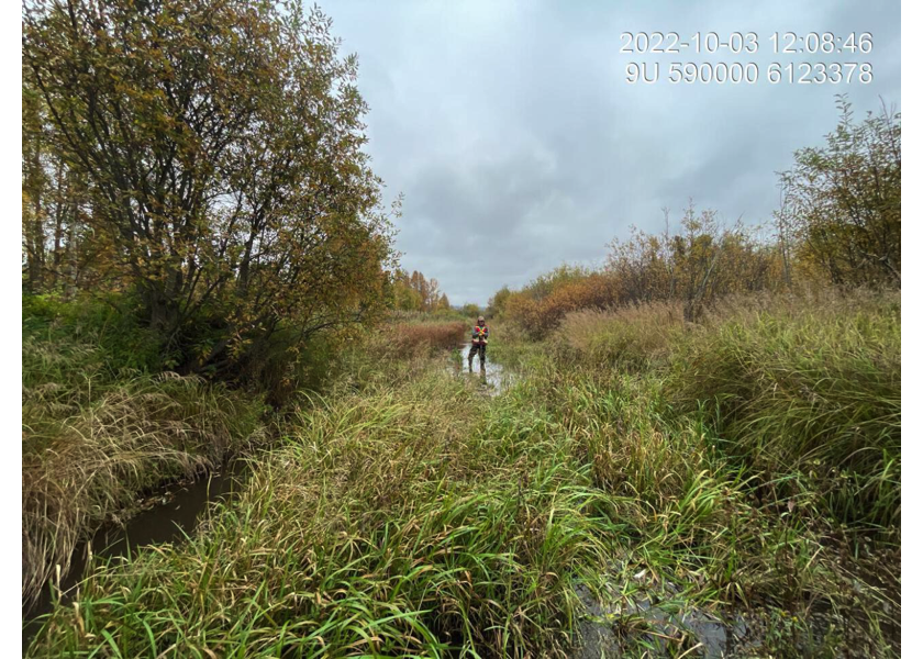 Typical habitat downstream of PSCIS crossing 198116.