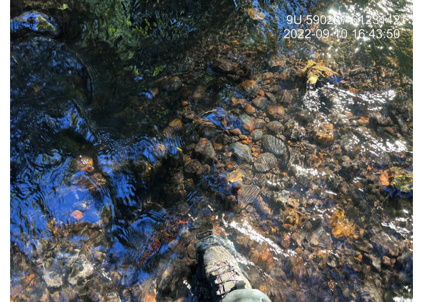 Gravel and cobble substrate immediately upstream of PSCIS crossing 198116.