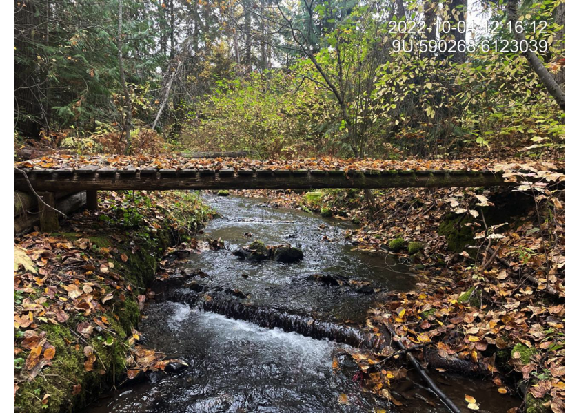 Footbridge located upstream of PSCIS crossing 198116.