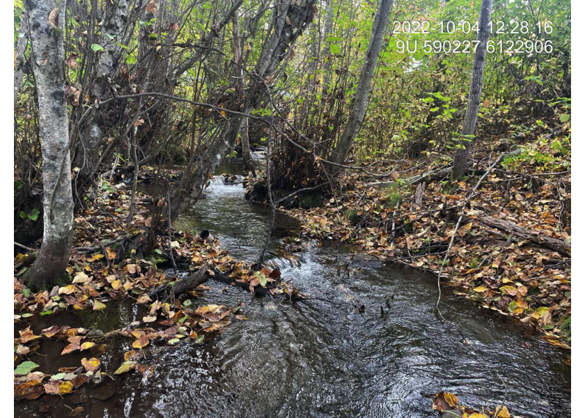 Typical habitat upstream of PSCIS crossing 198116.