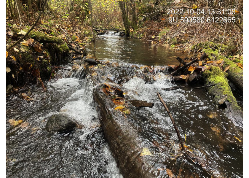 Typical habitat upstream of PSCIS crossing 198116.