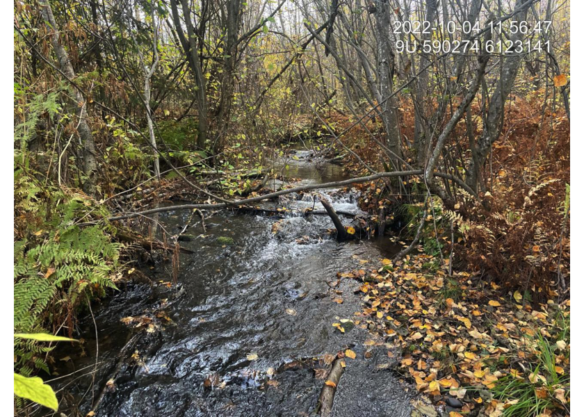 Typical habitat upstream of PSCIS crossing 198116.