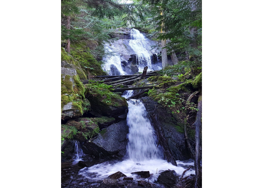 Waterfall at the end of survey, upstream of PSCIS crossing 198115.