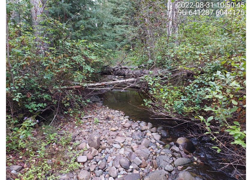 Typical habitat downstream of PSCIS crossing 57793.