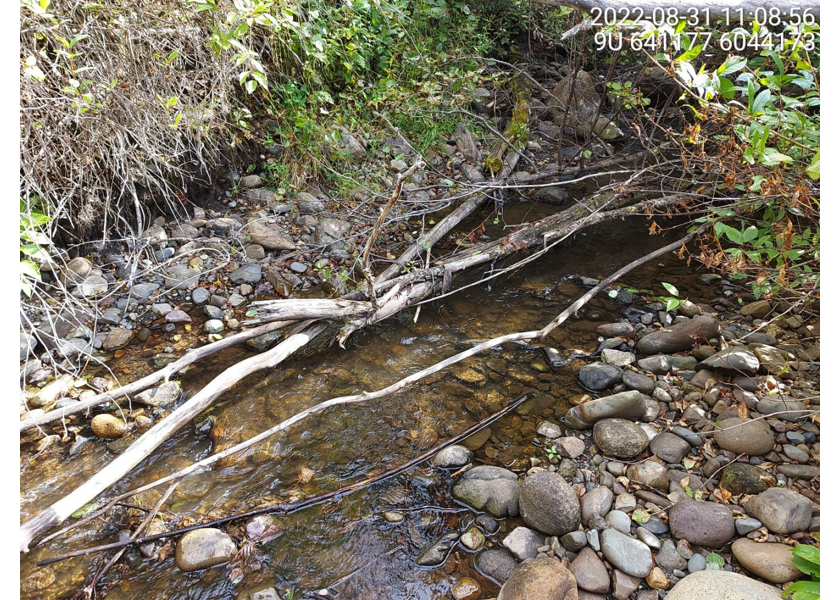 Typical habitat downstream of PSCIS crossing 57793.