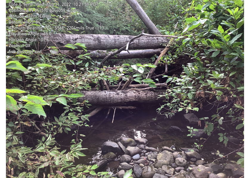 Typical habitat upstream of PSCIS crossing 57793.