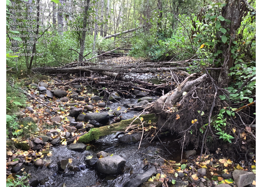 Typical habitat upstream of PSCIS crossing 57793.