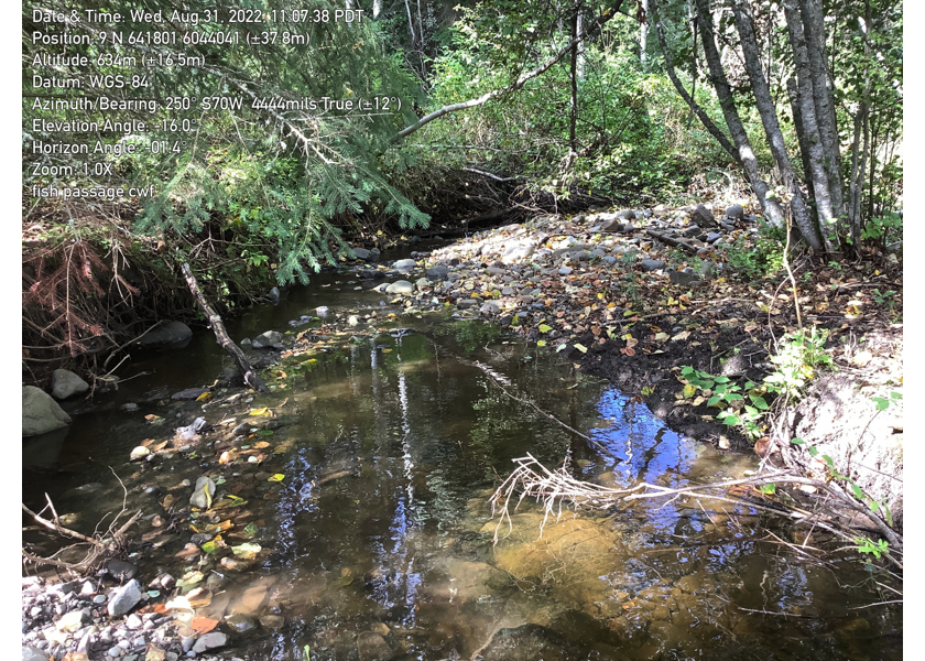 Typical habitat upstream of PSCIS crossing 57793.