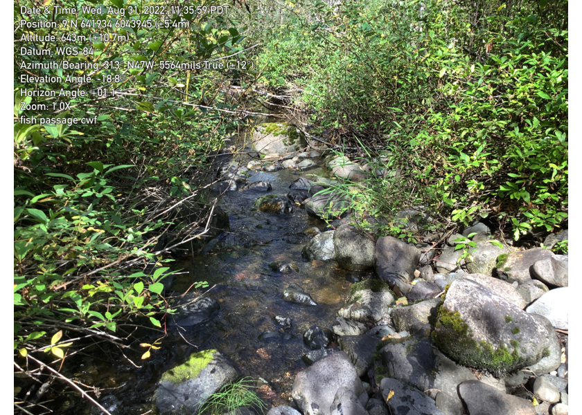 Typical habitat upstream of PSCIS crossing 57793.