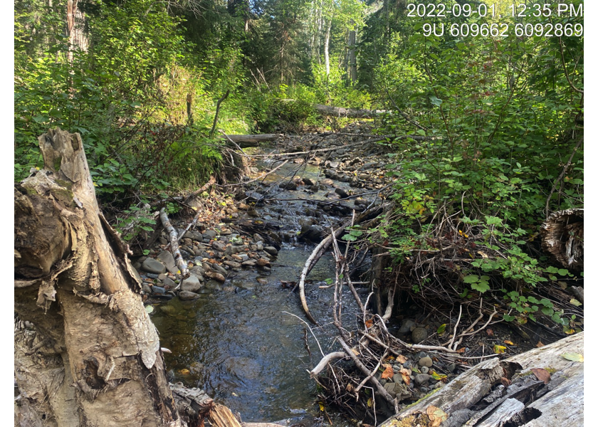 Typical habitat downstream of PSCIS crossing 58067.