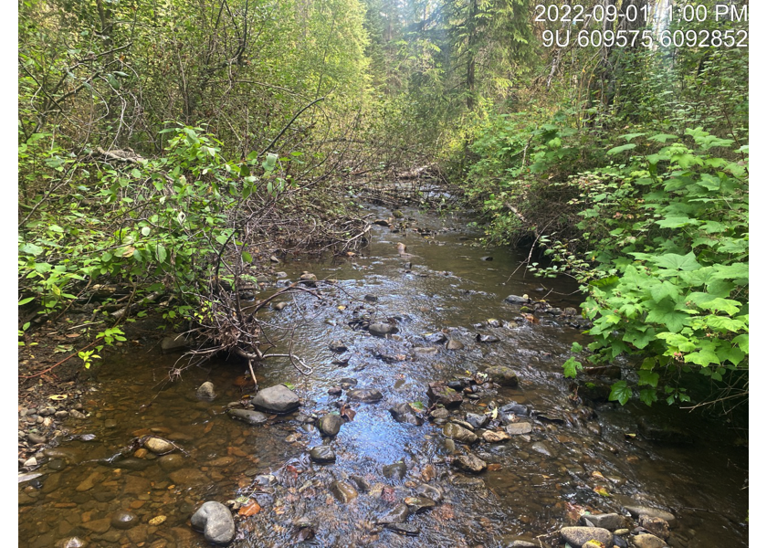 Typical habitat downstream of PSCIS crossing 58067.