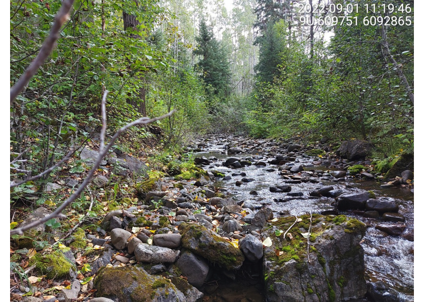 Typical habitat upstream of PSCIS crossing 58067.