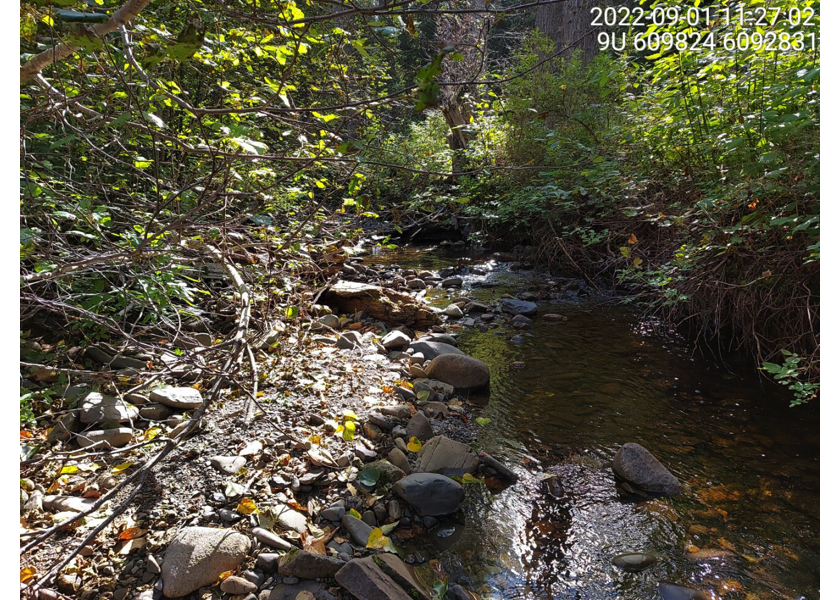 Typical habitat upstream of PSCIS crossing 58067.