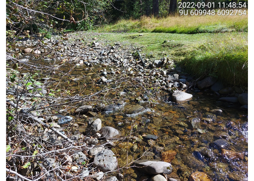 Typical habitat upstream of PSCIS crossing 58067.