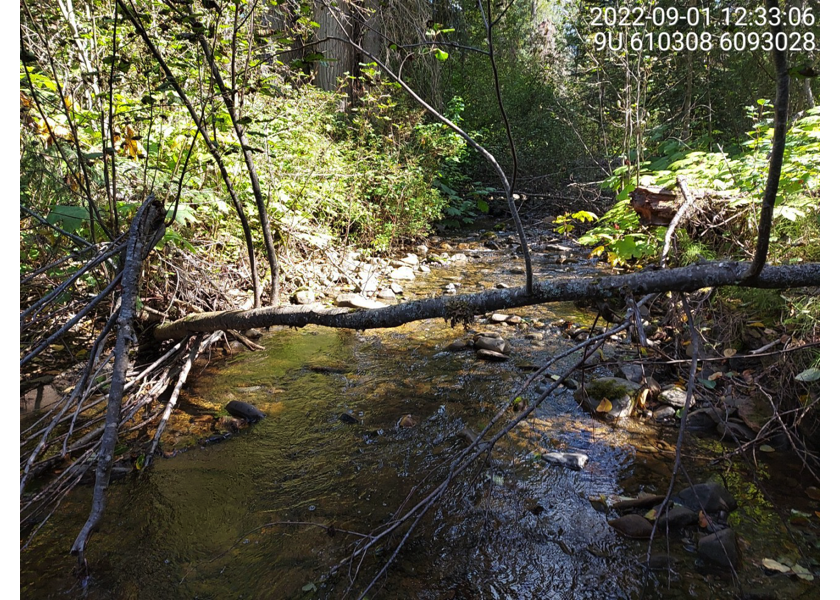 Typical habitat upstream of PSCIS crossing 58067.