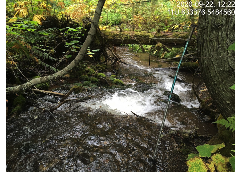 Typical habitat downstream of PSCIS crossing 50159.