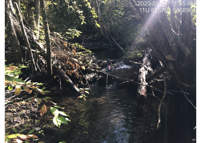 Typical habitat upstream of PSCIS crossing 50185.