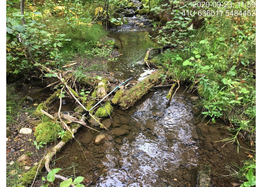 Typical habitat upstream of PSCIS crossing 62516.