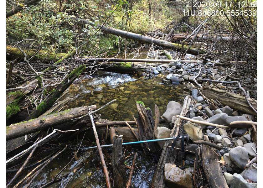 Typical habitat downstream of PSCIS crossing 197555.