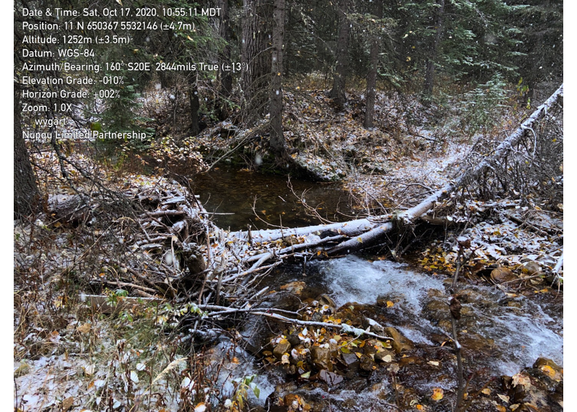 Habitat downstream of PSCIS crossing 197534.