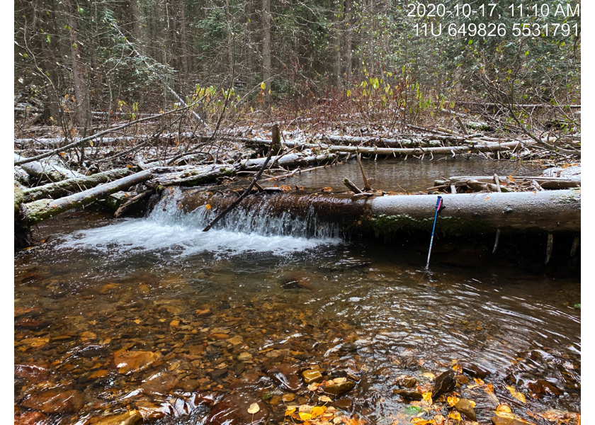 Habitat upstream of PSCIS crossing 197534.