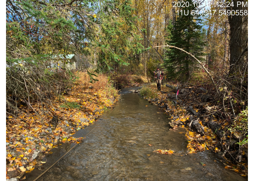 Typical habitat downstream of PSCIS crossing 197542.