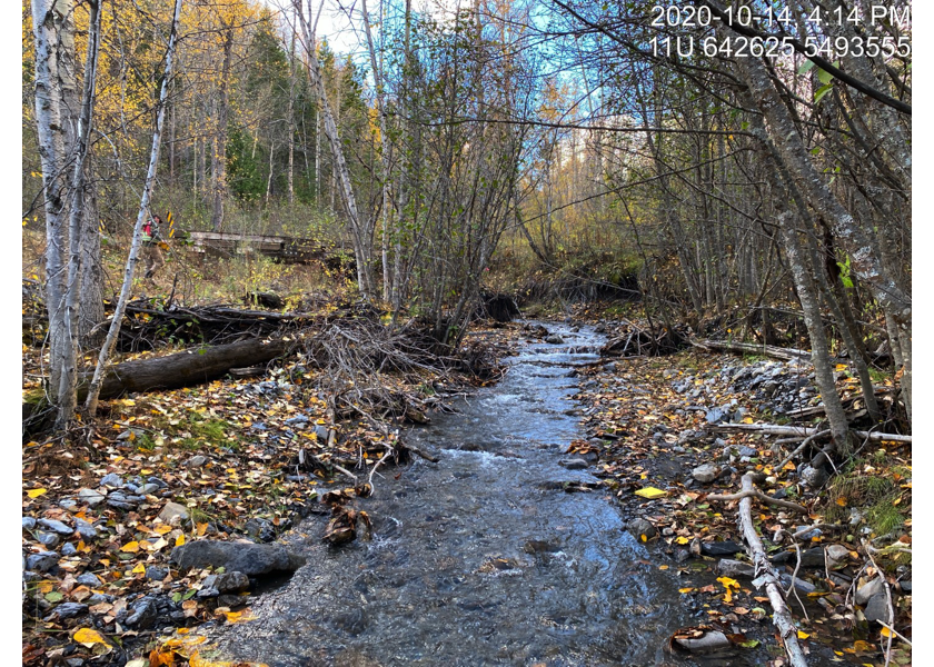 Habitat upstream of PSCIS crossing 197542 approximatley 2.5km.