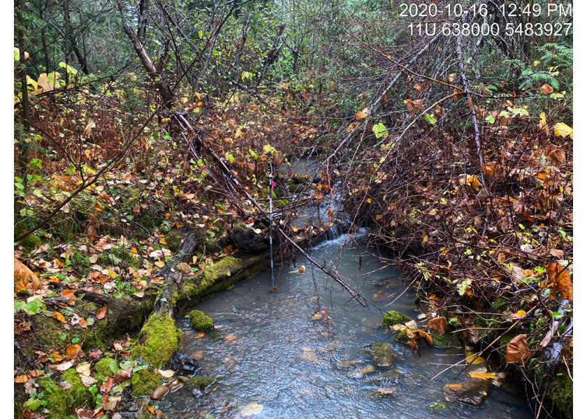 Typical habitat upstream of PSCIS crossing 50152.