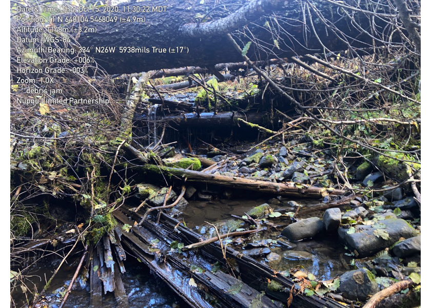 Typical habitat downstream of PSCIS crossing 50181.