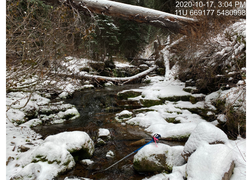 Habitat upstream of PSCIS crossing 50261.