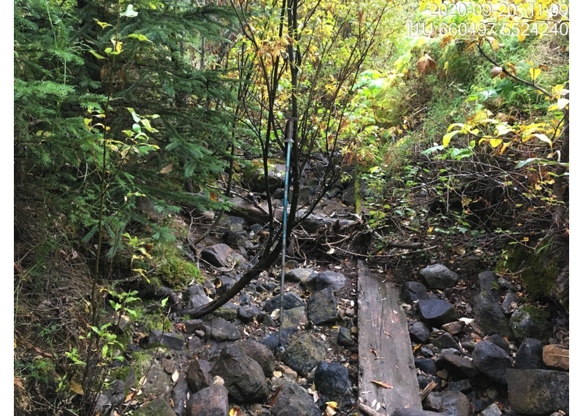 Typical habitat downstream of PSCIS crossing 62423.