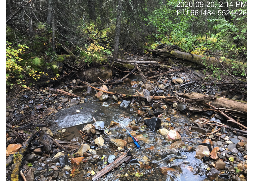 Typical habitat downstream of PSCIS crossing 62425.