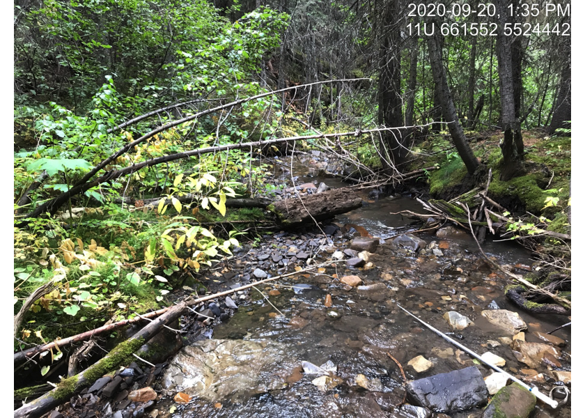 Typical habitat upstream of PSCIS crossing 62425 and downstream of PSCIS crossing 62426.