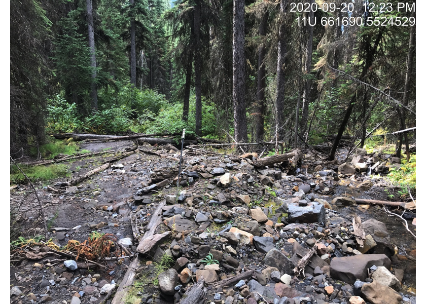 Grave Creek redirection out of historic channel located upstream of PSCIS crossing 62426.